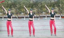 糖豆广场舞视频大全,舞动人生，乐享健康